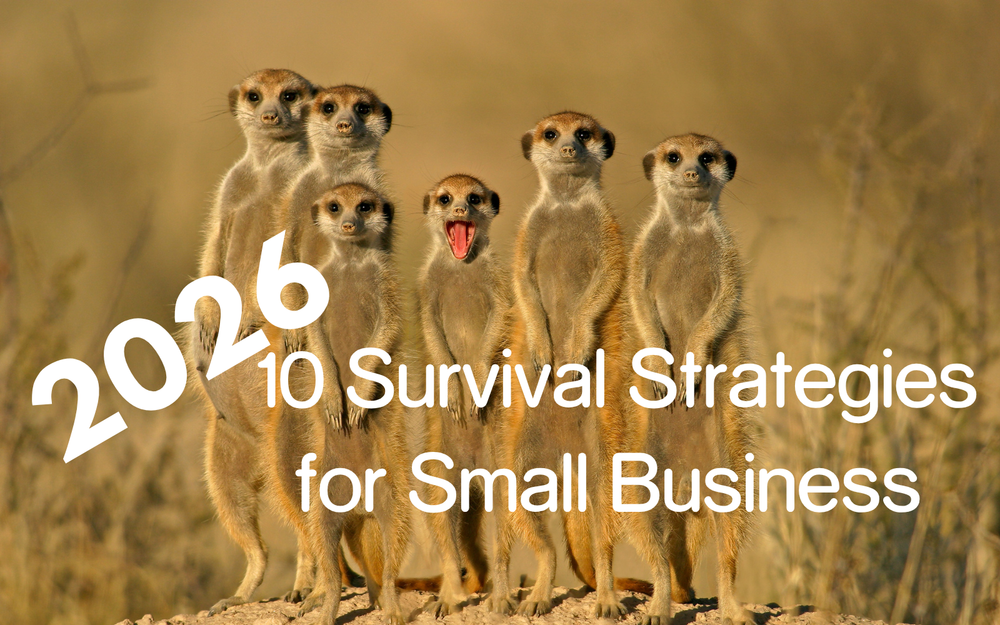 10 Survival Strategies for Small Business Owners in 2026 (Real Talk from Someone Who's Been There)