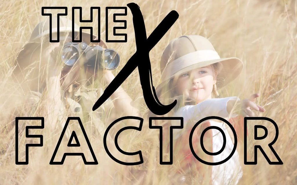 The X Factor: Unveiling the Secret Ingredient for Business Success | Veronica Jeans