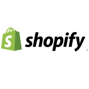 Shopify Course with 1-on-1 Expert Meetings veronicaleejeans.com